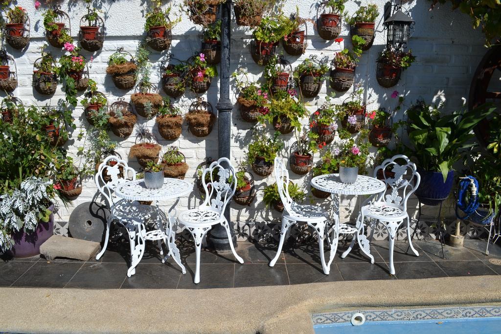 Hotel Vendimia Boutique Santa Cruz Eksteriør bilde